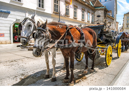 オーストリア、ウィーン 快晴の青空と歴史的な街並みに佇む名物の観光馬車「フィアカー」 オーストリア、ウィーン 快晴の青空と歴史的な街並みに佇む名物の観光馬車「フィアカー」 141000084