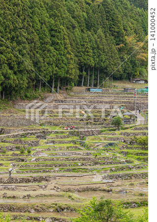 新城市の田植え前の四谷の千枚田の風景(愛知県) 新城市の田植え前の四谷の千枚田の風景(愛知県) 141000452