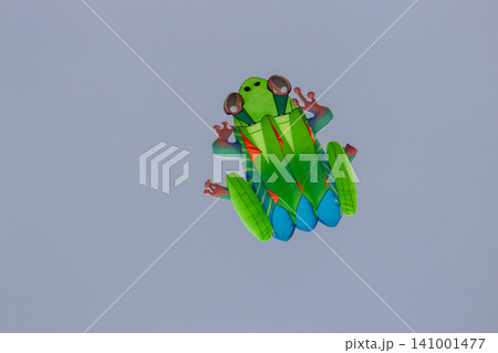 A Frog Kite Flying In The Air. A Frog Kite Flying In The Air. 141001477