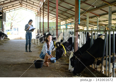 Two are Dairy farmers recording details and feeding of each cow on the farm. Two are Dairy farmers recording details and feeding of each cow on the farm. 141001672