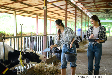Two are Dairy farmers recording details and feeding of each cow on the farm. Two are Dairy farmers recording details and feeding of each cow on the farm. 141001696
