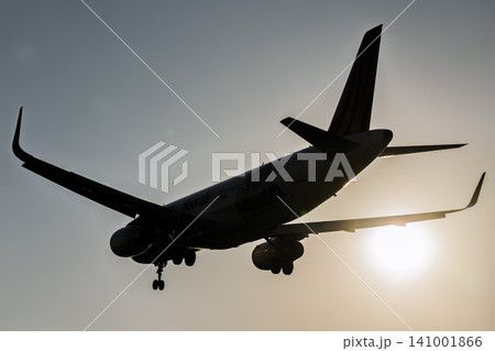 夕暮れの仙台空港 着陸中の飛行機 27から 宮城県名取市 夕暮れの仙台空港 着陸中の飛行機 27から 宮城県名取市 141001866