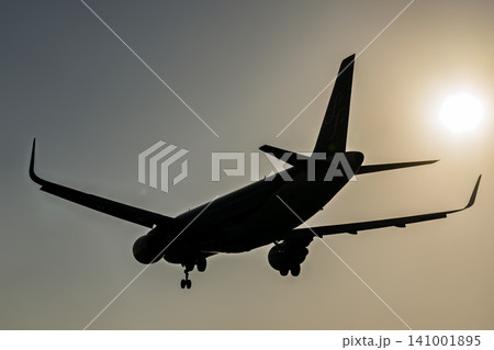 夕暮れの仙台空港　着陸中の飛行機　27から　宮城県名取市 141001895
