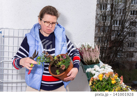 A woman tends to her balcony flowers in the autumn. She holds a pot of plants while using pruning scissors. The city landscape provides a backdrop to her gardening activity A woman tends to her balcony flowers in the autumn. She holds a pot of plants while using pruning scissors. The city landscape provides a backdrop to her gardening activity 141001928