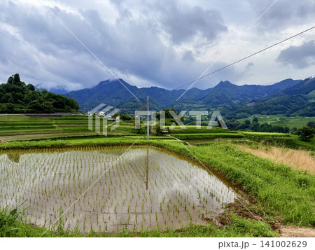 宮崎県高千穂町の山間に広がる川登棚田と鉄道橋の美しい新緑風景 宮崎県高千穂町の山間に広がる川登棚田と鉄道橋の美しい新緑風景 141002629