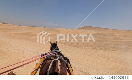 Sand dunes of the Sahara Desert photographed from a horse-drawn carriage 141002938