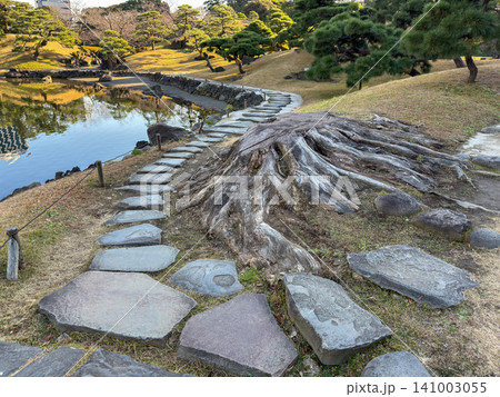 美しい石畳と力強い木の根が続く日本庭園の散策路 美しい石畳と力強い木の根が続く日本庭園の散策路 141003055