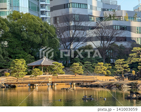 都会のビル群に囲まれた緑豊かな日本庭園の池と東屋の風景 141003059