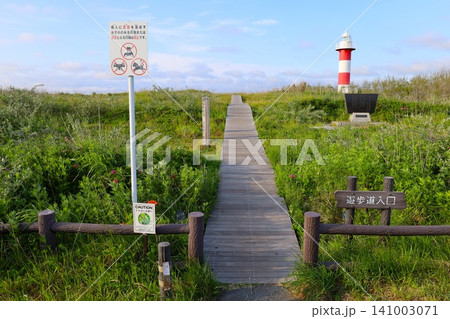 春の北海道、六月の北海道、石狩湾、石狩市と札幌市にあるはまなすの丘公園、はまなすが咲き始める六月、 春の北海道、六月の北海道、石狩湾、石狩市と札幌市にあるはまなすの丘公園、はまなすが咲き始める六月、 141003071