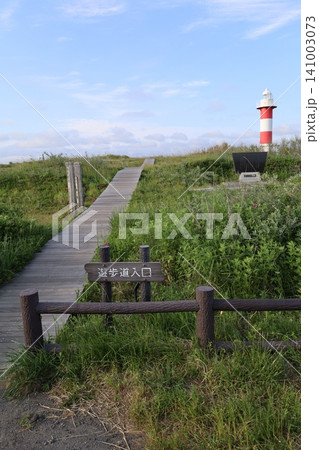 春の北海道、六月の北海道、石狩湾、石狩市と札幌市にあるはまなすの丘公園、はまなすが咲き始める六月、 春の北海道、六月の北海道、石狩湾、石狩市と札幌市にあるはまなすの丘公園、はまなすが咲き始める六月、 141003073