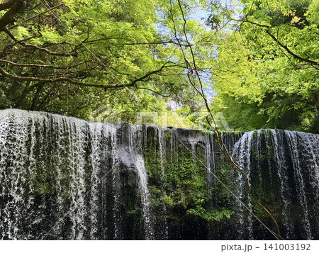熊本県南小国町の鍋ヶ滝で新緑の木々に囲まれ裏側から流れる滝の風景 熊本県南小国町の鍋ヶ滝で新緑の木々に囲まれ裏側から流れる滝の風景 141003192