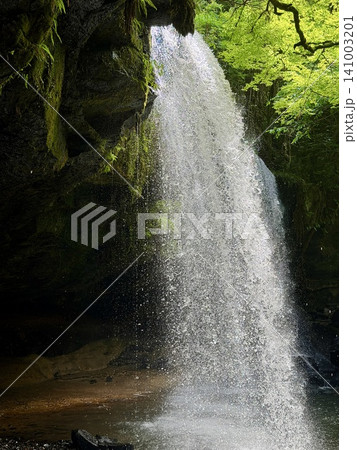 熊本県南小国町の鍋ヶ滝で新緑の木々に囲まれ裏側から流れる滝の風景 熊本県南小国町の鍋ヶ滝で新緑の木々に囲まれ裏側から流れる滝の風景 141003201