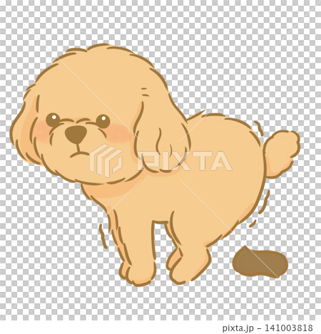 A hand-drawn illustration of a cute toy poodle pooping. A hand-drawn illustration of a cute toy poodle pooping. 141003818