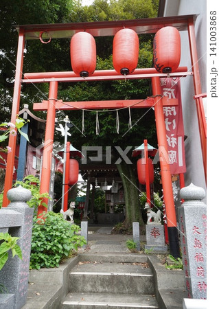 大島稲荷神社の赤い鳥居と提灯、狛狐が並ぶ夏の参道(縦位置) 大島稲荷神社の赤い鳥居と提灯、狛狐が並ぶ夏の参道(縦位置) 141003868