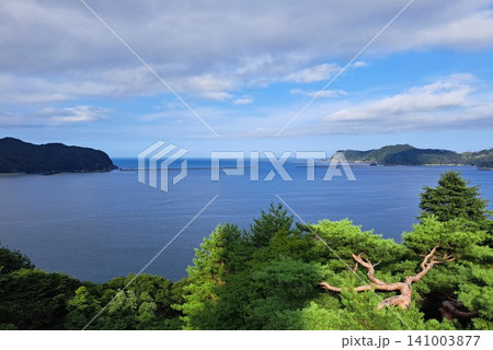 釜石大観音の展望台から望む釜石湾の青い海と美しい松の木 141003877