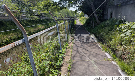 見沼代用水 見沼代用水 141003890