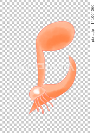 Musical notes with jellyfish Musical notes with jellyfish 141004060