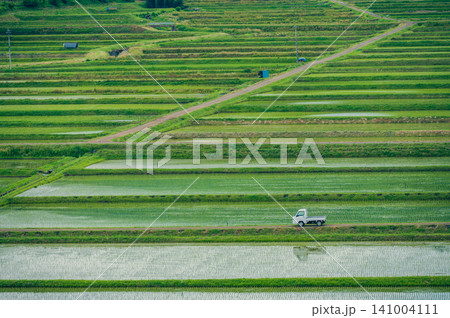 田植えの終わった水田地帯と軽トラ【長野県】 田植えの終わった水田地帯と軽トラ【長野県】 141004111