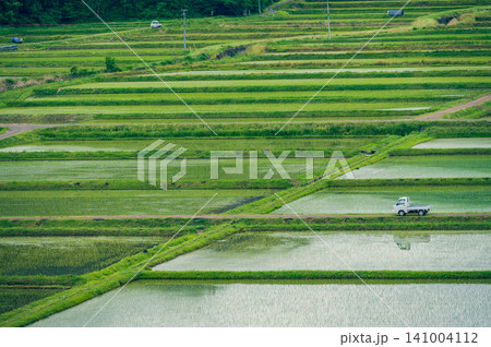 田植えの終わった水田地帯と軽トラ【長野県】 田植えの終わった水田地帯と軽トラ【長野県】 141004112