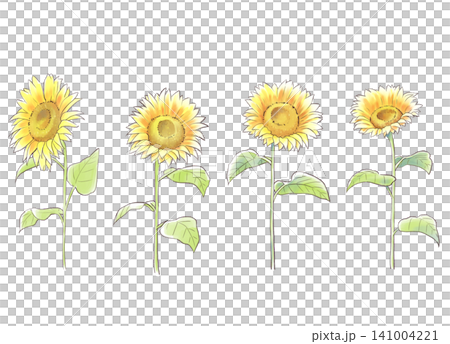 手描きひまわり 手描きひまわり 141004221