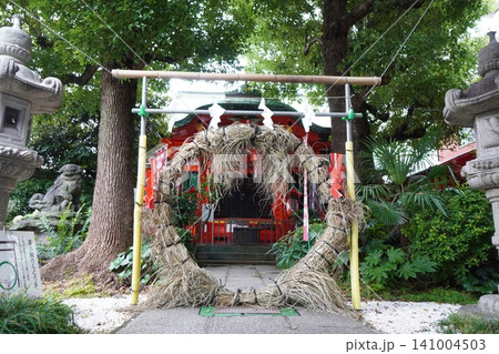 大島稲荷神社の朱色の社殿と夏越の祓の茅の輪 大島稲荷神社の朱色の社殿と夏越の祓の茅の輪 141004503