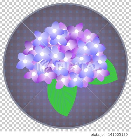 一幅淺紫色繡球花在圓形背景上的插圖。 一幅淺紫色繡球花在圓形背景上的插圖。 141005120