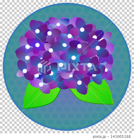以圓形為背景的深紫色繡球花插圖。 以圓形為背景的深紫色繡球花插圖。 141005188