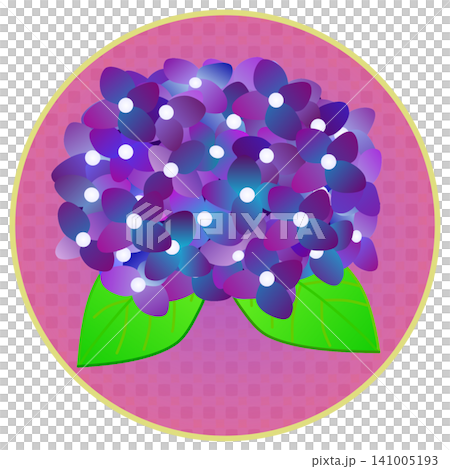 以圓形為背景的深紫色繡球花插圖。 以圓形為背景的深紫色繡球花插圖。 141005193