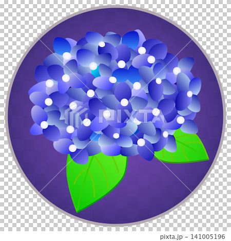 圓形背景的藍色繡球花插圖 圓形背景的藍色繡球花插圖 141005196