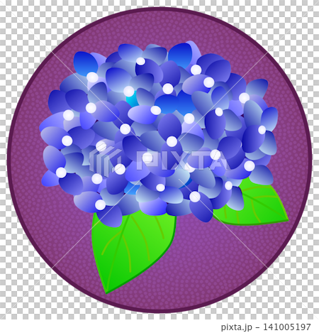 圓形背景的藍色繡球花插圖 141005197