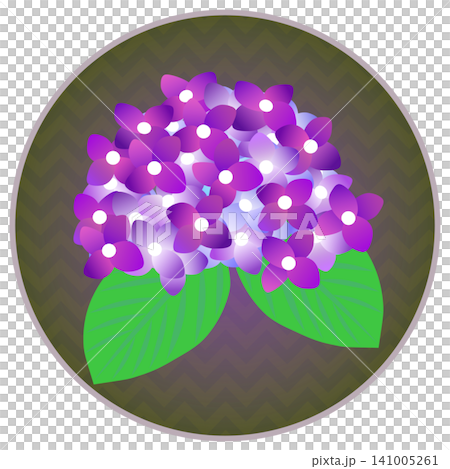 紫色繡球花插圖,背景為圓形 紫色繡球花插圖,背景為圓形 141005261