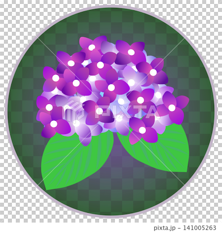 紫色繡球花插圖,背景為圓形 紫色繡球花插圖,背景為圓形 141005263