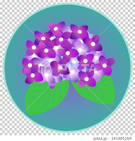 紫色繡球花插圖，背景為圓形 141005264