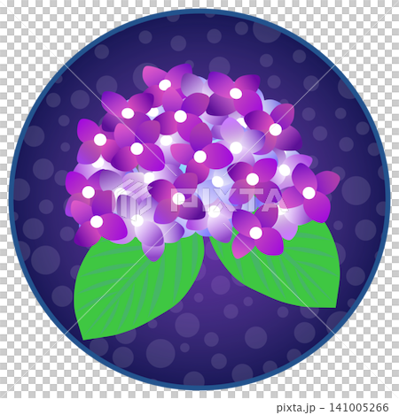 紫色繡球花插圖,背景為圓形 紫色繡球花插圖,背景為圓形 141005266