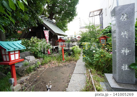 大島稲荷神社の境内に鎮座する佐竹神社（境内社）の夏の風景 141005269