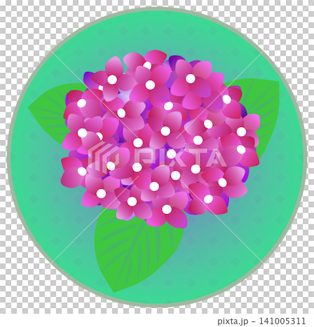 圓形背景的紅色繡球花插圖 圓形背景的紅色繡球花插圖 141005311