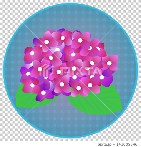 An illustration of a reddish-purple hydrangea with a circular background. An illustration of a reddish-purple hydrangea with a circular background. 141005346