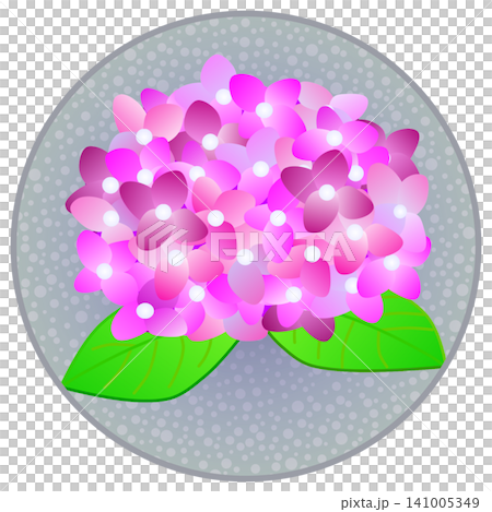 圓形背景上的粉紅色繡球花插圖 141005349