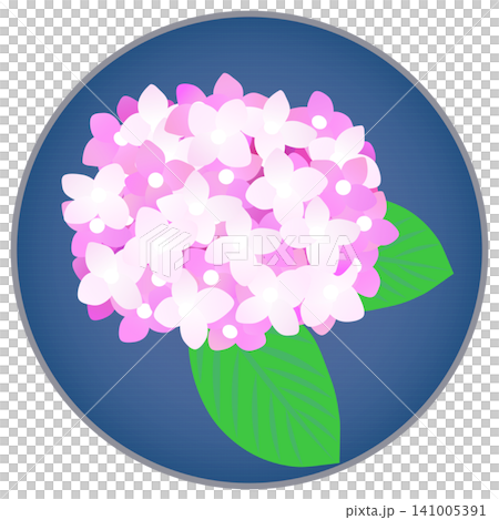 Illustration of pink hydrangeas on a circular background Illustration of pink hydrangeas on a circular background 141005391