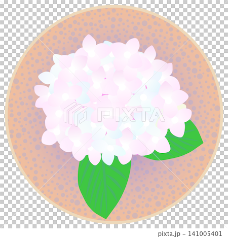 一幅淺粉色繡球花在圓形背景上的插圖。 141005401