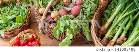 Baskets filled with freshly picked organic vegetables sit on a wooden table. Green onions, lettuce, and radishes are among the harvest from a local farm, banner 141005409