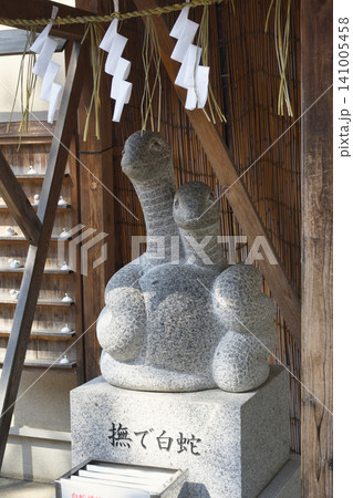 蛇窪神社 撫で白蛇(東京都品川区) 蛇窪神社 撫で白蛇(東京都品川区) 141005458