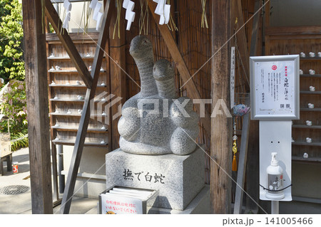 蛇窪神社 撫で白蛇(東京都品川区) 蛇窪神社 撫で白蛇(東京都品川区) 141005466