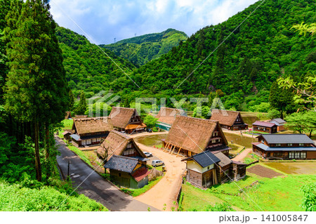 初夏の晴天 新緑まぶしい五箇山の菅沼合掌造り集落を国道沿いの展望スポットから一望する風景 初夏の晴天 新緑まぶしい五箇山の菅沼合掌造り集落を国道沿いの展望スポットから一望する風景 141005847
