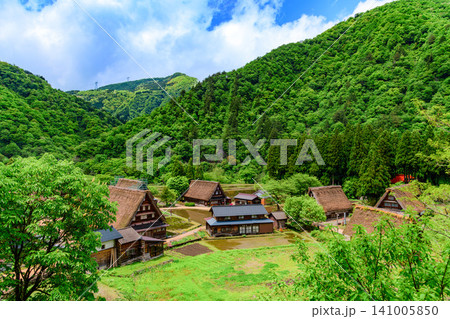 初夏の晴天 新緑まぶしい五箇山の菅沼合掌造り集落を国道沿いの展望スポットから一望する風景 初夏の晴天 新緑まぶしい五箇山の菅沼合掌造り集落を国道沿いの展望スポットから一望する風景 141005850