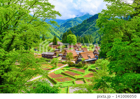 初夏の晴天 新緑まぶしい五箇山の相倉合掌造り集落を展望ポイントから一望する遠望風景 初夏の晴天 新緑まぶしい五箇山の相倉合掌造り集落を展望ポイントから一望する遠望風景 141006050