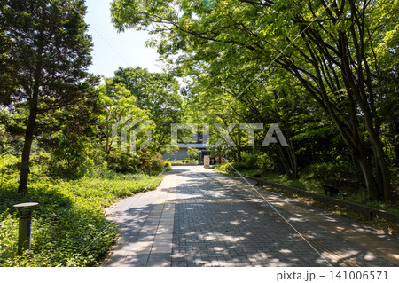 大阪/花と緑と自然の情報センターに向かう通路(2026年5月撮影) 大阪/花と緑と自然の情報センターに向かう通路(2026年5月撮影) 141006571