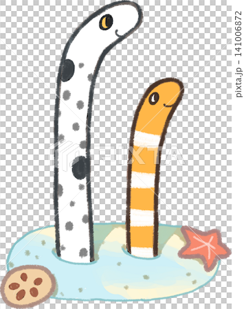 チンアナゴとニシキアナゴ 141006872