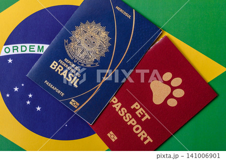 Brazil, Brazilian passport or id document with tickets for flight, travel. Brazilian passport 141006901
