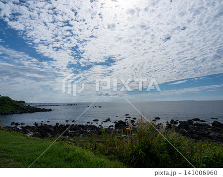 緑の草原の先に広がる紺碧の海 緑の草原の先に広がる紺碧の海 141006960